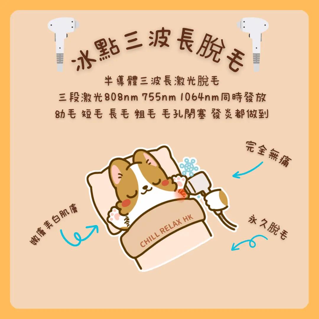 脫毛1