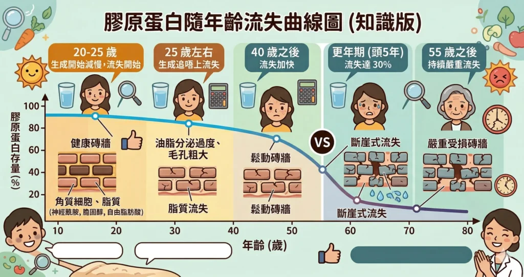 膠原蛋白流失 — 20歲起每年流失1%年齡曲線圖 | Chill Relax HK 觀塘美容