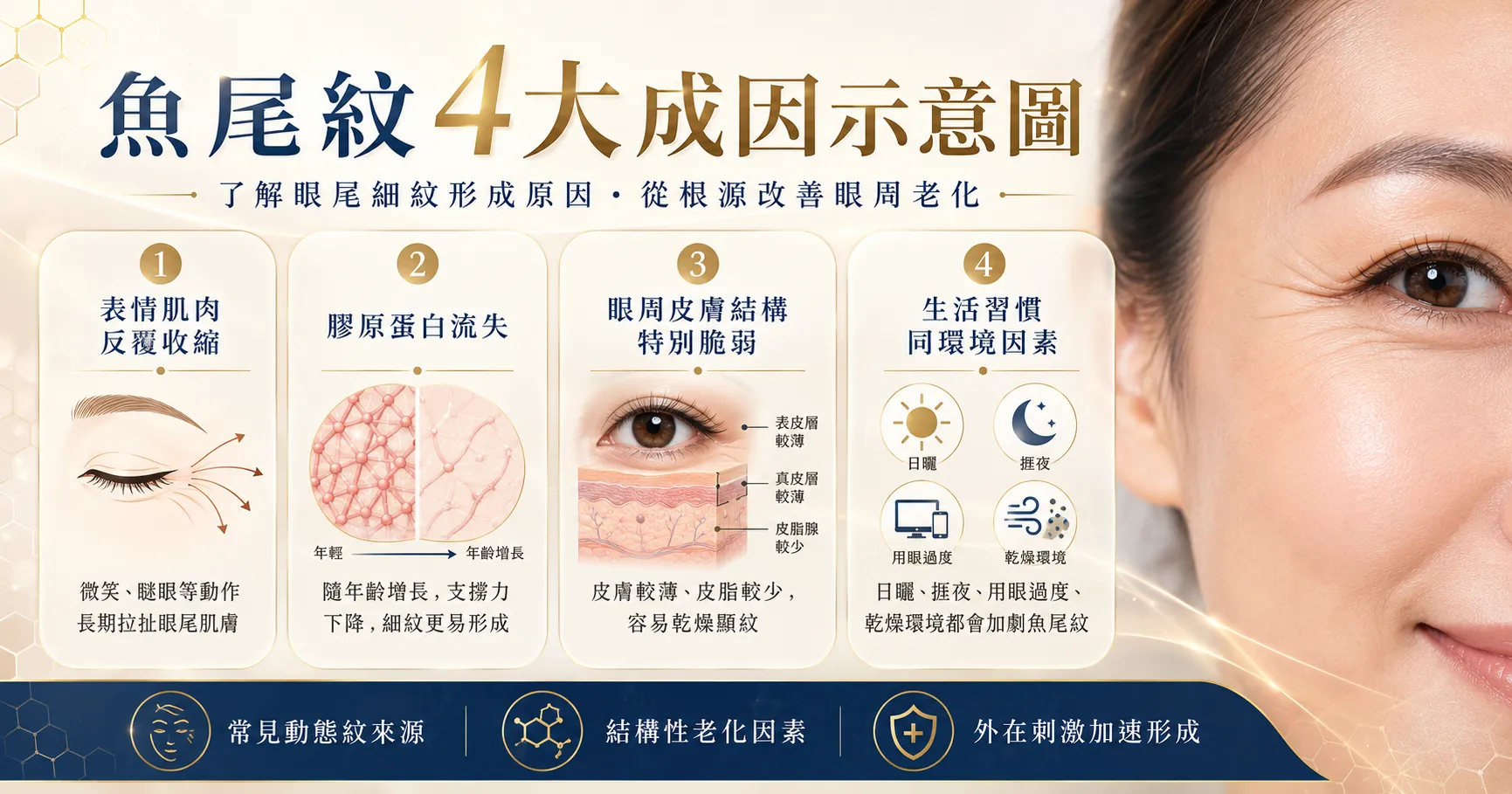 魚尾紋成因 — 表情肌肉膠原流失眼周結構示意 | Chill Relax HK 觀塘美容